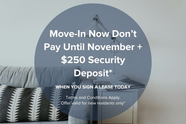 Appartement 4 1/2 Edmonton 1 625 $/mois. Appartement à louer Edmonton
