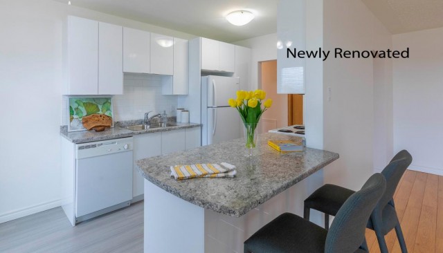 Appartement 1 1/2 Moncton 975 $/mois. Appartement à louer Moncton