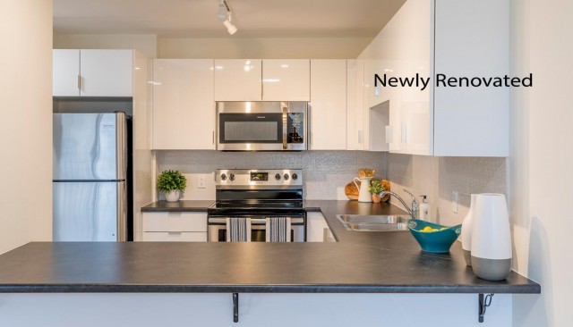 Appartement 1 1/2 Fredericton 1 350 $/mois. Appartement à louer Fredericton