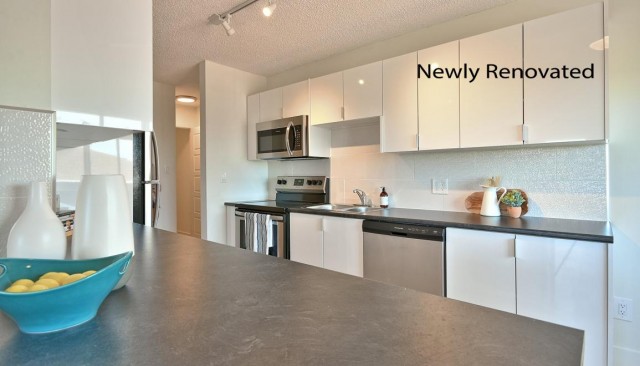 Appartement 4 1/2 Fredericton 1 695 $/mois. Appartement à louer Fredericton
