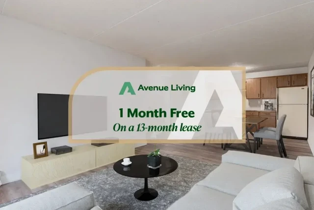 Appartement 1 1/2 Lethbridge 1 150 $/mois. Appartement à louer Lethbridge