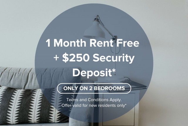 Appartement 2 1/2 Calgary 1 505 $/mois. Appartement à louer Calgary