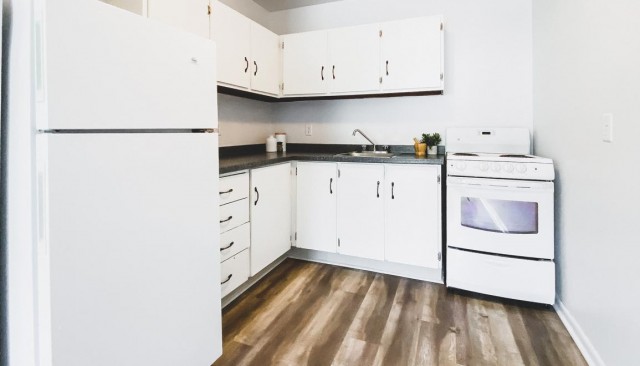 Appartement 4 1/2 Terre-Neuve-Labrador 988 $/mois. Appartement à louer Terre-Neuve-Labrador