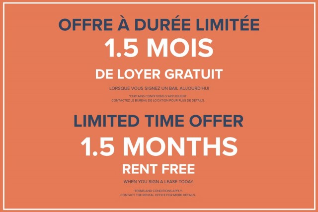 Appartement 1 1/2 Centre-ville - Montréal 1 295 $/mois. Appartement à louer Centre-ville - Montréal