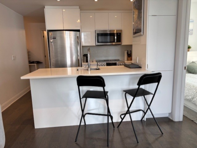  4 1/2 Centre-ville - Montréal 100 $/jour. Appartement à louer Centre-ville - Montréal