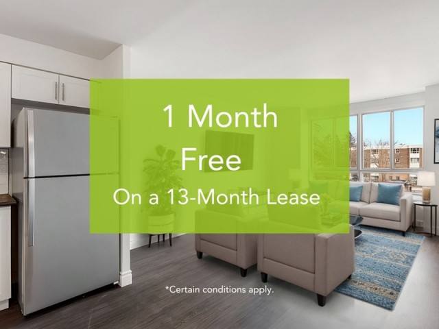 Appartement 1 1/2 Kingston 1 349 $/mois. Appartement à louer Kingston