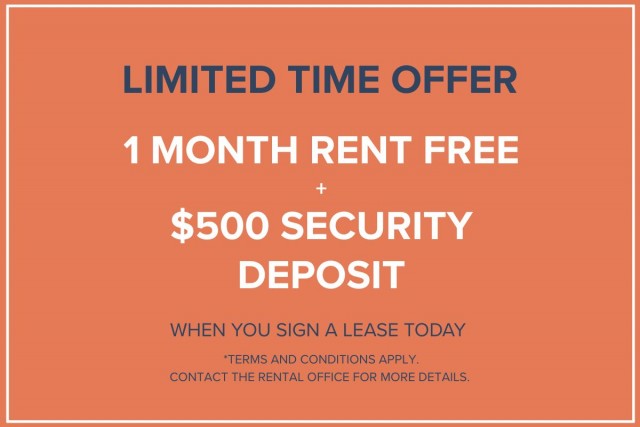 Appartement 1 1/2 Vancouver 1 835 $/mois. Appartement à louer Vancouver