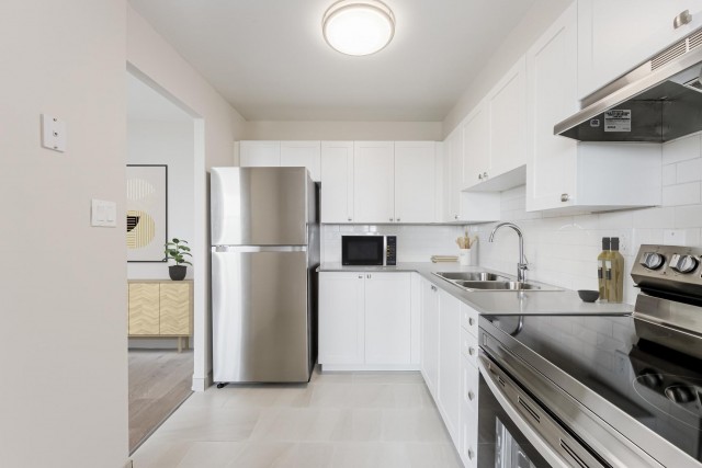 Appartement 4 1/2 Kingston 1 599 $/mois. Appartement à louer Kingston