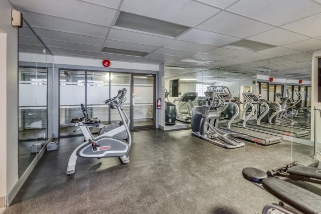 Appartement 4 1/2 Calgary 1 595 $/mois. Appartement à louer Calgary