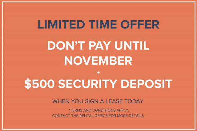 Appartement 4 1/2 Vancouver 1 985 $/mois. Appartement à louer Vancouver