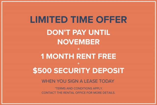 Appartement 1 1/2 Vancouver 1 845 $/mois. Appartement à louer Vancouver