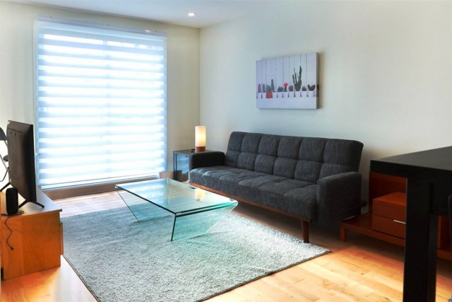 2 1/2 Rosemont, Petite-Patrie 64 $/jour. Appartement à louer Rosemont, Petite-Patrie