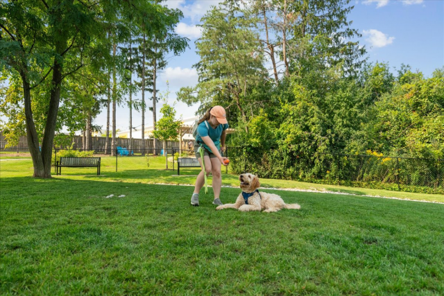 Appartement 4 1/2 London 3 495 $/mois. Appartement à louer London