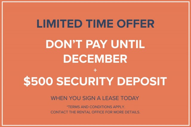 Appartement 1 1/2 Vancouver 1 955 $/mois. Appartement à louer Vancouver