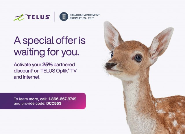 Appartement 2 1/2 Victoria 1 880 $/mois. Appartement à louer Victoria