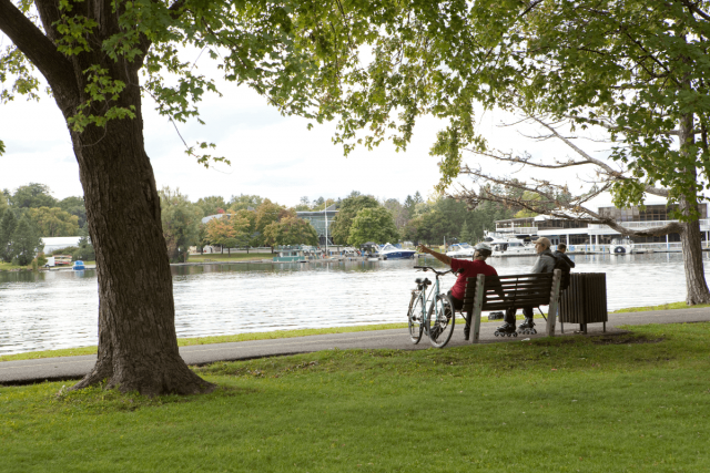 Appartement 3 1/2 Ottawa 2 075 $/mois. Appartement à louer Ottawa