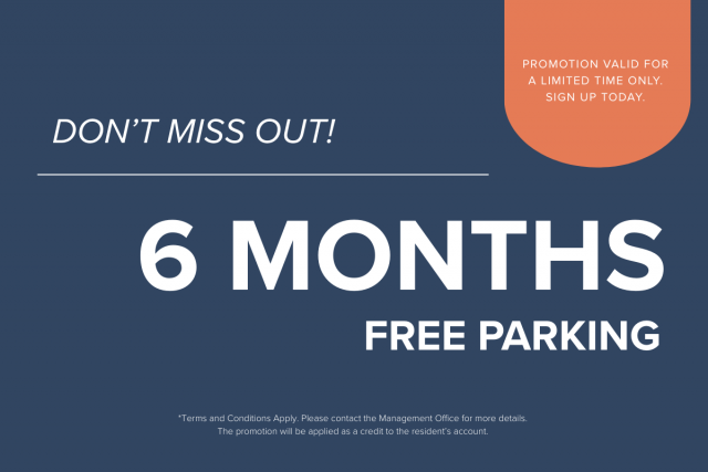 Appartement 4 1/2 Grand Toronto 2 995 $/mois. Appartement à louer Grand Toronto