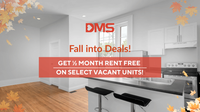 Appartement 1 1/2 Kingston 1 595 $/mois. Appartement à louer Kingston