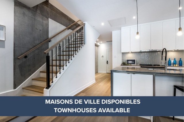 Appartement 4 1/2 Petite-Bourgogne et Griffintown 3 995 $/mois. Appartement à louer Petite-Bourgogne et Griffintown