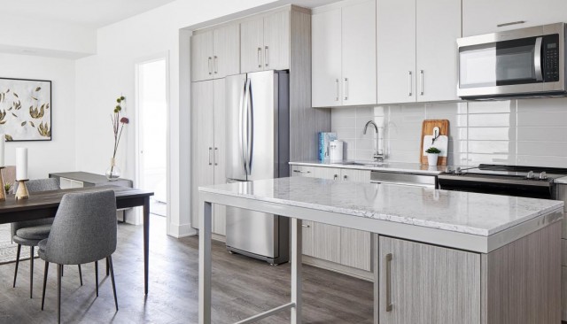 Appartement 2 1/2 Ottawa 2 250 $/mois. Appartement à louer Ottawa