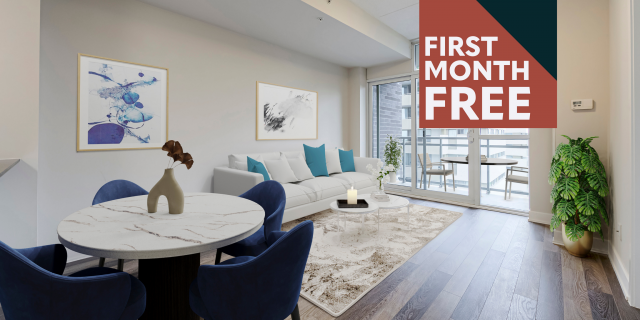 Appartement 4 1/2 Hamilton 2 550 $/mois. Appartement à louer Hamilton