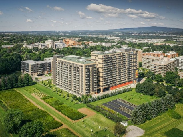 Appartement 2 1/2 Ville de Québec 1 375 $/mois. Appartement à louer Ville de Québec
