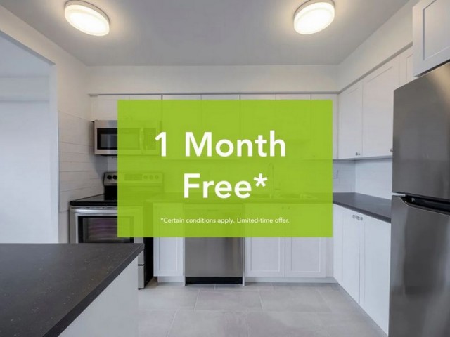 Appartement 1 1/2 Grand Toronto 1 895 $/mois. Appartement à louer Grand Toronto