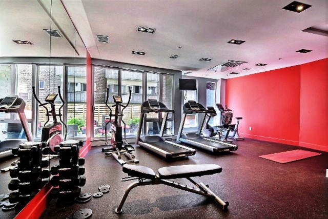 Old Montreal  1 b. $84/day. Apartment for rent in Old Montreal