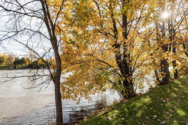 Appartement 1 1/2 Laval-des-Rapides 1 160 $/mois. Appartement à louer Laval-des-Rapides