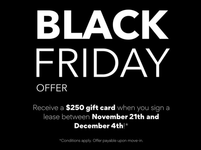 Appartement 5 1/2 Kingston 2 199 $/mois. Appartement à louer Kingston