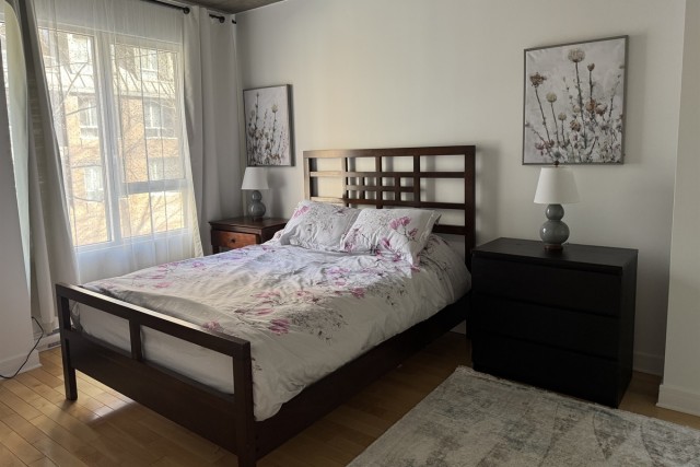 Downtown - Montreal  1 b. $80/day. Apartment for rent in Downtown - Montreal