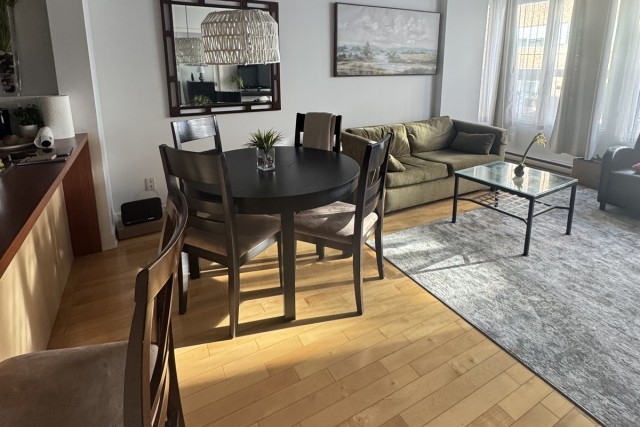 Downtown - Montreal  1 b. $80/day. Apartment for rent in Downtown - Montreal