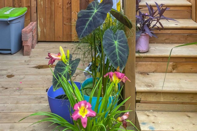  5 1/2 Quartier latin et centre-sud 100 $/jour. Appartement à louer Quartier latin et centre-sud