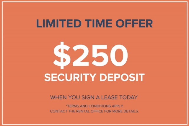 Calgary Apartment 2 b. $1,625/month. Apartment for rent in Calgary