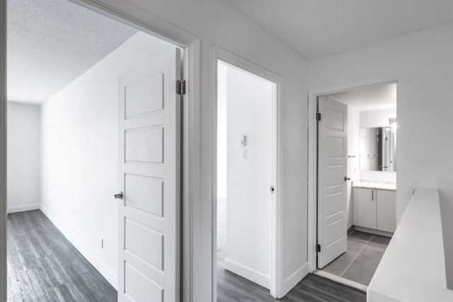 Quartier latin and south-central Apartment Studio $1,185/month. Apartment for rent in Quartier latin and south-central