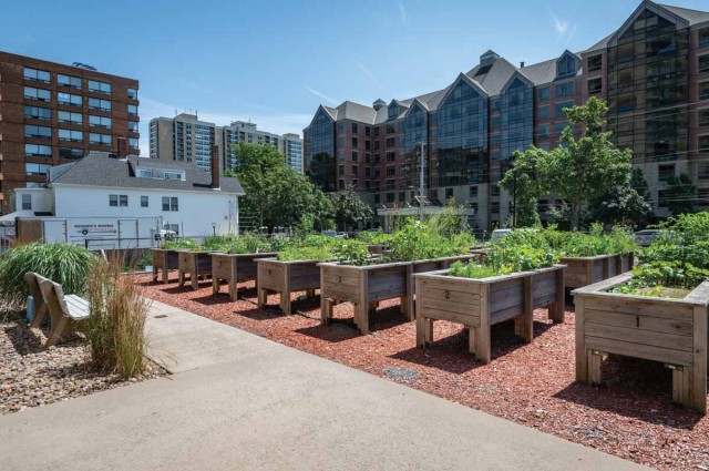 Appartement 1 1/2 Halifax 1 585 $/mois. Appartement à louer Halifax