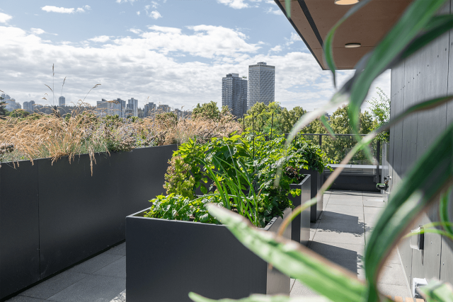 Appartement 4 1/2 Vancouver 3 160 $/mois. Appartement à louer Vancouver