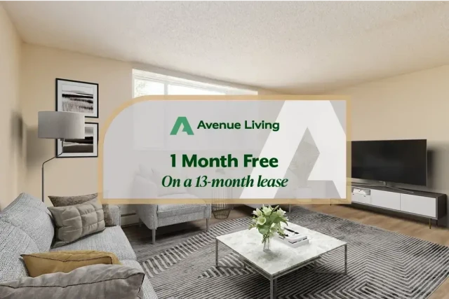 Medecine Hat Apartment 1 b. $1,225/month. Apartment for rent in Medecine Hat