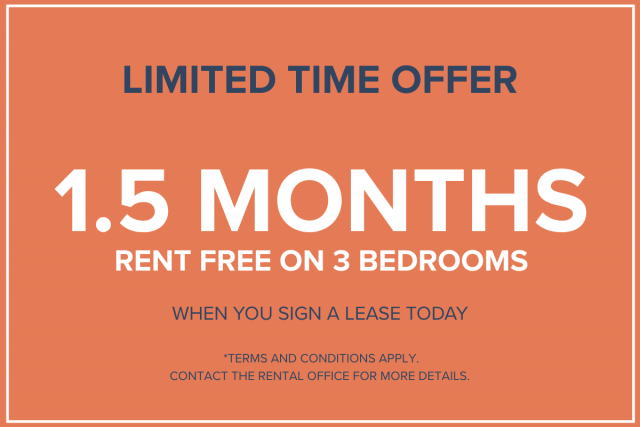 Brossard Apartment 3 b. $3,660/month. Apartment for rent in Brossard