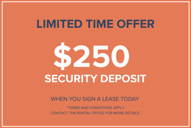 Regina Apartment 1 b. $1,385/month. Apartment for rent in Regina