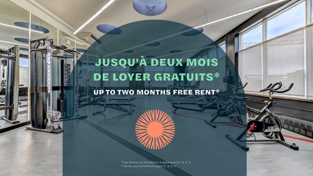 Downtown - Montreal Apartment Studio $1,480/month. Apartment for rent in Downtown - Montreal