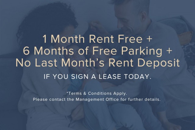 Ottawa Apartment 1 b. $1,975/month. Apartment for rent in Ottawa