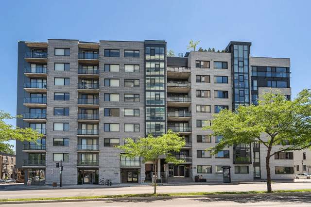 Appartement 2 1/2 Quartier latin et centre-sud 1 715 $/mois. Appartement à louer Quartier latin et centre-sud