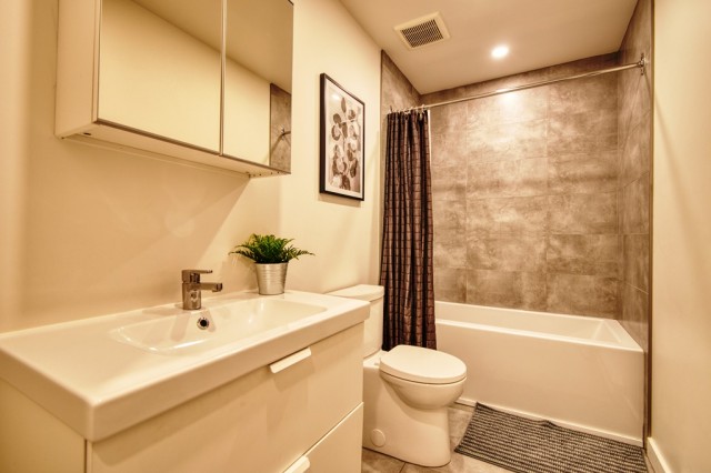  2 1/2 Nouveau-Rosemont et Mercier 50 $/jour. Appartement à louer Nouveau-Rosemont et Mercier