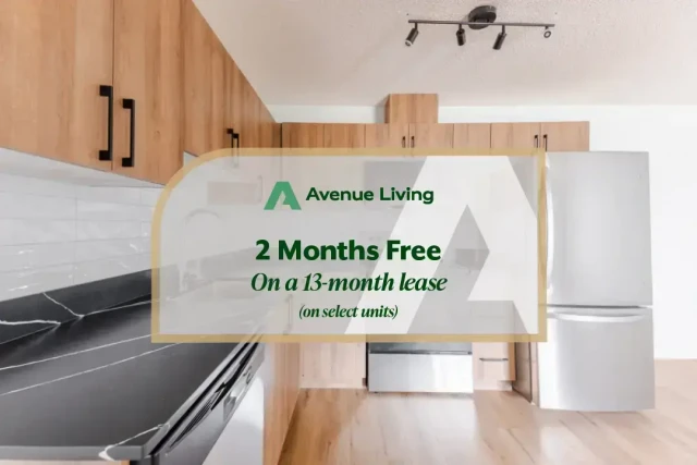 Appartement 1 1/2 Edmonton 1 295 $/mois. Appartement à louer Edmonton