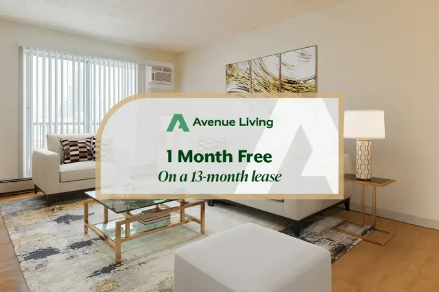 Medecine Hat Apartment 1 b. $1,305/month. Apartment for rent in Medecine Hat