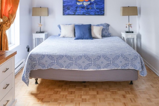 Quartier latin and south-central  3 b. $100/day. Apartment for rent in Quartier latin and south-central