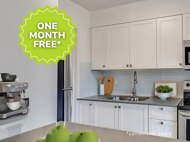 Brampton Apartment 1-2 b. $1,949/month. Apartment for rent in Brampton