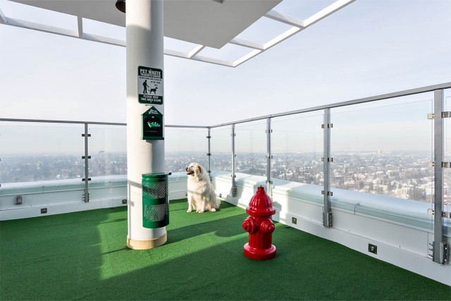 Edmonton Apartment 2 b. $1,830/month. Apartment for rent in Edmonton