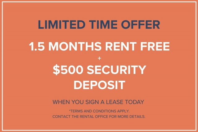 Vancouver Apartment 2 b. $2,295/month. Apartment for rent in Vancouver